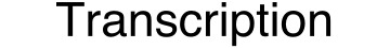 Transcription